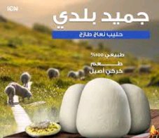 زاد وزواده
